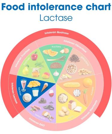 Intoleran Lactase 20 000 Digestive Enzymes - 150 Scored Tablets | Supplement for Lactose Intolerance | Lactase Enzyme That Helps Digest Dairy & Lactose | Highest Dosed & Fast Acting | Pure & Vegan - Buy Online on GoSupps.com