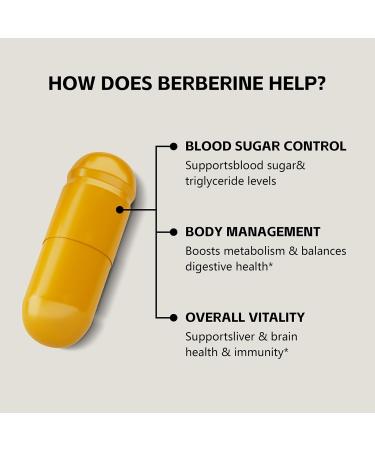 FraFr.gancia Berberine HCl Supplement with Ceylon Cinnamon & Citrus Bergamot Botanical Formula for Daily Wellness 120 Vegan Capsules - Buy Online on GoSupps.com