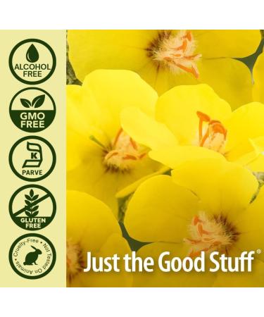 Fluid extract of black mullein leaf 2000 mg 30 ml - Buy Online on GoSupps.com