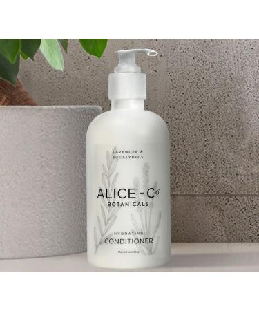 Fairfield by Marriott Hotel Bath Amenities Set - Lavender & Eucalyptus Shampoo & Conditioner - 8.5 oz Bottles - Hair Care Kit - Buy Online on GoSupps.com