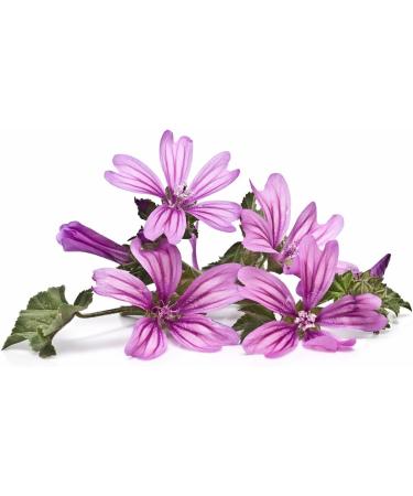 Herboristeria du Valmont Mauve Flowers Herbal Tea 125 grams - Buy Online on GoSupps.com