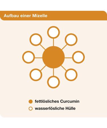 Curcumin-Loges - 120 Highly Bioavailable Capsules | Dietary Supplement with Vitamin D | International Shipping Available - Buy Online on GoSupps.com
