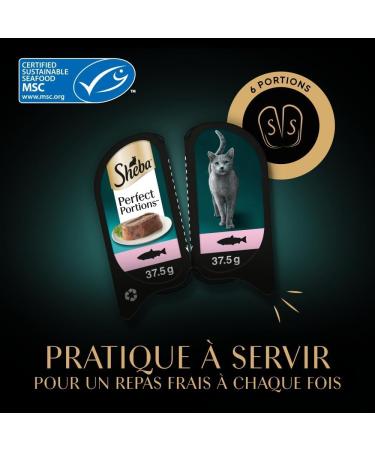 Sheba Perfect Portions for adult cats Trays Wet food Luxury salmon terrine 6x37 PACK OF 8 - Buy Online on GoSupps.com