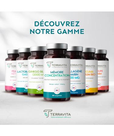 Memory Concentration | Korean Red Ginseng + Bacopa + EnXtra Patented Active | 5 Hours of Vivacity and Intellectual Clarity | Nootropic Caffeine Free | 60 Tablets | Made in France Terravita - Buy Online on GoSupps.com