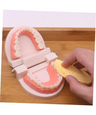 3 Sets of Early Dental Education Toys for Toddlers | Role Play Brushing Toys | Reusable Fun - Buy Online on GoSupps.com