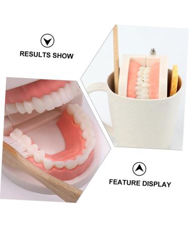 Minkissy 2 Sets Toy for Early Dental Education | Clean Kids Toilet Article Set - Reusable & Fun - Buy Online on GoSupps.com