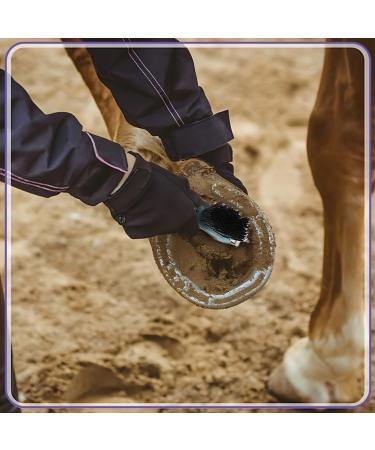 Buy HZAOPZE 2 PCs 2-in-1 Hoof Scraper & Brush - Anti-Slipping Horse Grooming Tool for Clean Hooves | International Shipping Available - Buy Online on GoSupps.com