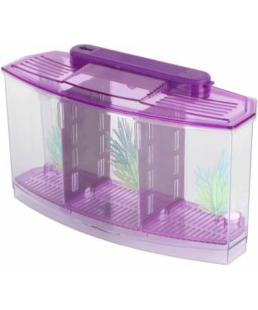 Aquarium Fish Tank Transparent Aquarium Fish Tank LED Acrylic Three Divisions Breeding Isolation Box for Small Fishes Mini Breeding Fish Tank (Purple) - Buy Online on GoSupps.com