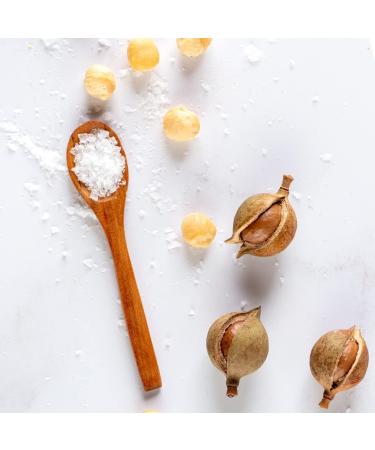 House of Macadamias Namibian Sea Salt Macadamia Nuts 16.92oz (12 Pack) - Keto, Vegan, Paleo - Gluten-Free, Sugar-Free - Buy Online on GoSupps.com