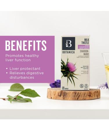 Botanica Milk Thistle Super Concentrated Liquid Capsules 4500 mg dry herb equivalent Promotes Healthy Liver Function & Detoxification Antioxidant Natural Herb Extract Remedy Non-GMO Vegan Gluten Free 120 Capsules (120 Servings) Milk Thistle 120 count (Pac - Buy Online on GoSupps.com