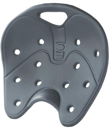 BackJoy SitSmart Posture Core Seat Pad for Lower Back Pain Relief - Improve Posture on Car, Office Chairs - Waterproof Portable Design for Adults M-XL (Onyx) - Buy Online on GoSupps.com