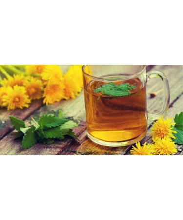 Tisane Ernst Richter Special Transit Lot De 6 Bo tes De 20 Infusions 20 Unit (Lot de 6) - Buy Online on GoSupps.com