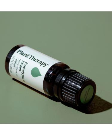 Plant Therapy Eucalyptus Dives Essential Oil 10 mL (1/3 oz) 100% Pure Undiluted Stimulating Aromatherapy Oil for Diffusing Clearing & Refreshing - Buy Online on GoSupps.com
