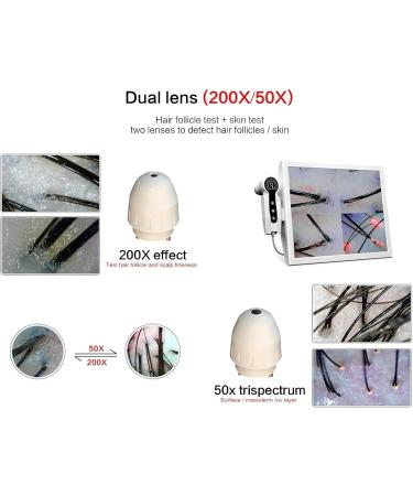 Analyseur de peau et de cheveux d tecteur de cuir chevelu avec cran de 4 zones testeur d'huile et d'humidit du follicule pileux objectif 50 /200 Blanc - Buy Online on GoSupps.com