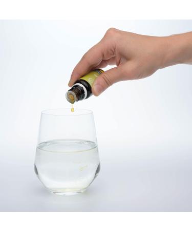 RATHAUS APOTHEKE WIEN Concentrated bud extract - Gemmotherapy - Betula verrucosa - Hanging birch juice - 15 ml - Buy Online on GoSupps.com