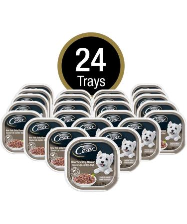 CESAR Filets in Sauce Wet Dog Food - New York Strip 100g (Pack of 24) Tray New York Strip 100 g (Pack of 24) - Buy Online on GoSupps.com