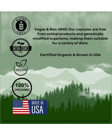 Sacred Tree Naturals Organic Mushroom Immune Support Capsules 9 Mushroom Blend for Immune Health & Wellness with Reishi Lion's Mane Cordyceps & More - 100% Pure Non-GMO Vegan - Buy Online on GoSupps.com