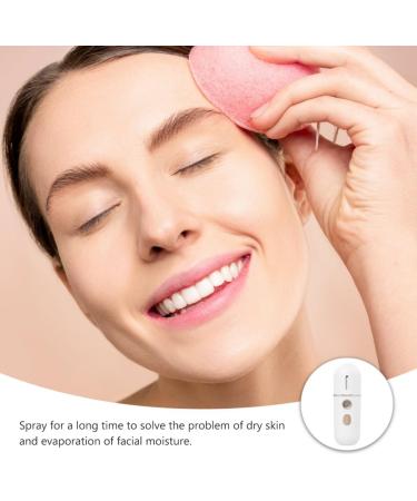 LIFKOME Vaporisateur Facial Nanom trique Hydratant Portable Appareil Vapeur pour Visage Compact Blanc Soin Peau S che et Renouvellement Cellulaire Vaporisateur Brume pour Femmes  - Buy Online on GoSupps.com