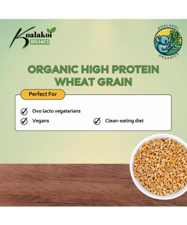 Koalakoi ORGANIC Certified Wheat Grain (4.5kg) | High Protein & Fibre | Premium Quality Non-GMO | 100% Natural | Source Of Minerals (4.5kg) - Buy Online on GoSupps.com