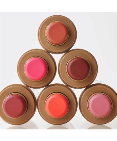 Pocket Blush Stick Multipurpose Long Lasting Smooth Blush Stick 3-in-1 Buildable Natural Matte Blush Stick for Cheeks Eyes and Lips (Toasted Teddy 1) Toasted Teddy 1 count (Pack of 1) - Buy Online on GoSupps.com