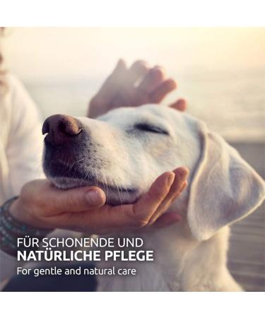 Aniforte Aloe Vera Puppy Shampoo 200ml - Mild Perfume-Free Dog Shampoo for Sensitive Young Dogs & Shiny Easy-to-Combing Fur - International Shipping Available - Buy Online on GoSupps.com