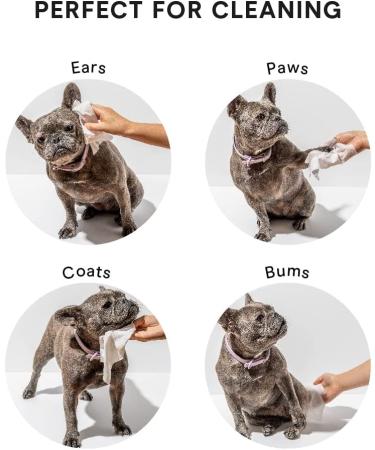 Wild One Eucalyptus Natural Dog Grooming Wipes - Cruelty-Free & Biodegradable (Pack of 2, 70 Wipes per Pouch) - Buy Online on GoSupps.com