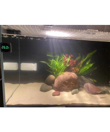 LED Touch Screen Aquarium Thermometer - Accurate Stick-on Temperature Sensor for Fish Tank, Turtle, Betta, Amphibians & Reptiles - Buy Online on GoSupps.com