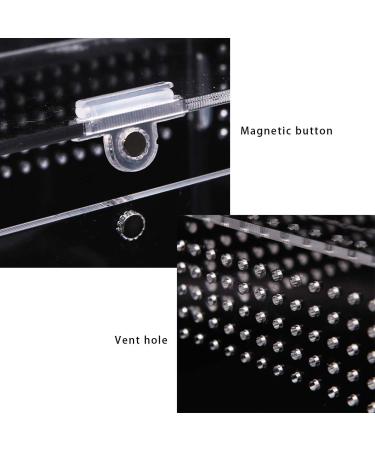 Winterworm Acrylic Reptile Feeding Box Transparent Breeding Box Terrarium with 2 Pcs Straight and Curved Tweezers for Pet Insect Spider Crickets Snails Hermit Crabs Lizard (Large(20x12x12cm)) - Buy Online on GoSupps.com