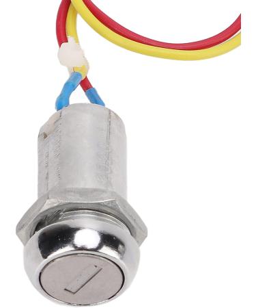 Motor Speed Controller Kit - 24V 250W Brushed Motor Throttle Grip for Electric Scooter Bike & Tricycle - International Shipping - Buy Online on GoSupps.com