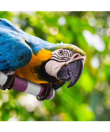 Parrot Perch 15CM Pink&White Color Bird Perch Stand Birdcage Scrub Stand Bar for Bird Parrot Budgies Parakeet Cockatiels Conure Lovebird Cage Paw Grinding Toy pink 15cm - Buy Online on GoSupps.com