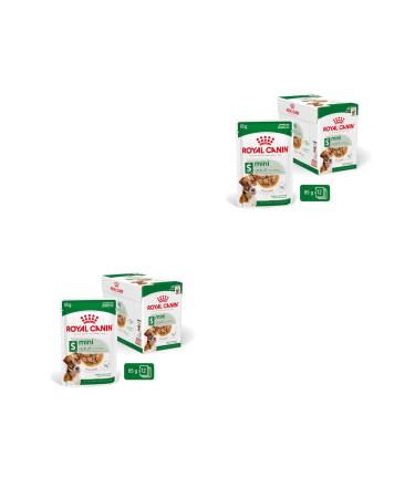 Royal Canin Mini Adult in Sauce | Double pack | 2 x 12 x 85 g | Wet food for small adult dogs (1 to 10 kg) | From 10 months to 12 years | Adjusted energy content