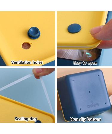 Candy Box Divided Serving Tray Party Fruit Tray Dried Fruit Nuts Candies Sweet Biscuits (Color : Blue) (Size : Unique Colour) - Buy Online on GoSupps.com