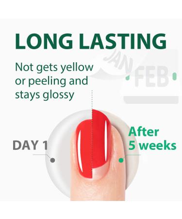 2 Pcs Gel Base & Top Coat Set | High-Gloss Finish, Long-Lasting, Anti-Wear | No Wipe Top Coat | 0.28 FlOz Soak Off UV Gel for Home Manicure or Salon - Buy Online on GoSupps.com
