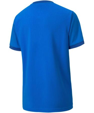 PUMA Men's teamGOAL 23 Jersey - Electric Blue Lemonade & Power Blue | International Shipping Available - Buy Online on GoSupps.com