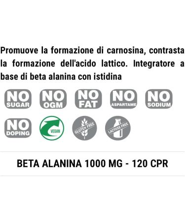 Buy Pronutrition Beta Alanin 1000 mg - 120 Cps | Boost Carnosine Reduce Lactic Acid for Aerobics & Weightlifting | International Shipping - Buy Online on GoSupps.com