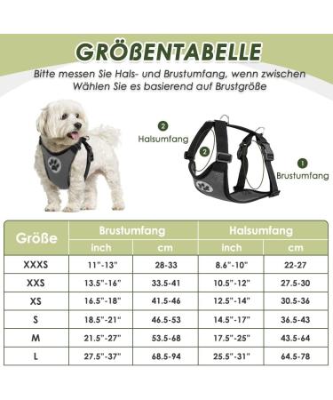 Eyin Dog Harness with Seat Belt for Car - Adjustable Breathable 2 Carabiner Hooks - Perfect for Child Safety Seats & Trunk (Gray S) - Buy Online on GoSupps.com
