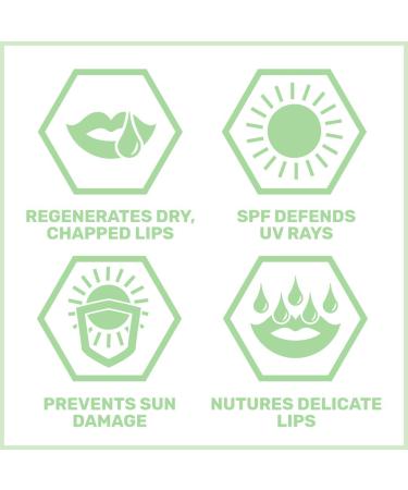 Sebamed Lip Defense SPF 30 - Protect & Hydrate Lips | Classic Range 4.8g - International Shipping Available - Buy Online on GoSupps.com
