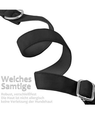 Shop Asvin Velvety Dog Collar - Soft Comfortable & Multi-Color Options for Weddings Birthdays & Parties - Removable Dog Flying | International Shipping - Buy Online on GoSupps.com