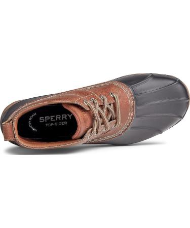 Sperry Men's Brewster Low Boot 8 - Brown Black: Stylish and durable footwear for men - Buy Online on GoSupps.com