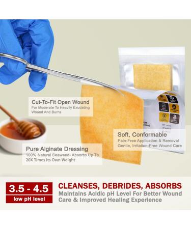 EVERLIT Honey Calcium Alginate Dressing 2"x2" - Pack of 10 | Sterile & Highly Absorbent Wound Care with Pure Manuka Honey for Cuts Burns & Diabetic Ulcers - Buy Online on GoSupps.com