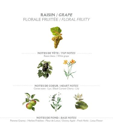 Panier des Sens Grape Hand Cream - Vegan, Shea Butter, Organic Grape Seed Oil - 97% Natural - Made in France - 75ml - Buy Online on GoSupps.com