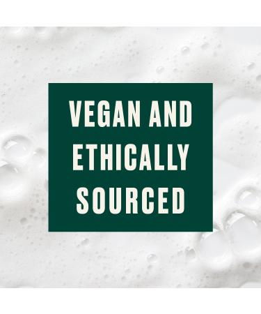 Buy Body Shop Moringa Conditioner 250ml - Nourishing Hair Care | International Shipping Available - Buy Online on GoSupps.com