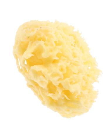 FRCOLOR Moisturizer Body Bath Shower Sponge for Body for Bathing for Body Natural Bath Sponge Bath Sponge for Sponge Shower