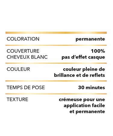 Garnier Belle Color Permanent Hair Color - 04 Ash Blonde - International Shipping Available - Buy Online on GoSupps.com