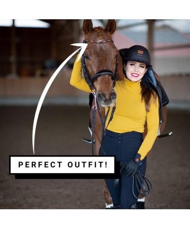 MagicTack Warmblood Browband - Bling Curved Rainbow Crystals for Horses | International Shipping Available - Buy Online on GoSupps.com