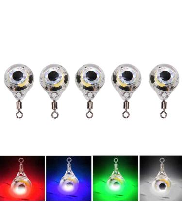 Led fishing light fishing bait light 5 pieces LED underwater Fishing light eye -shaped nightlamp strobe flashing light lure attractor lure bait tool - Buy Online on GoSupps.com