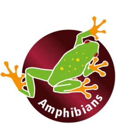 Hobby Reptix Odor Killer - Effective Smell Neutralizer for Reptile Habitats | International Shipping Available - Buy Online on GoSupps.com