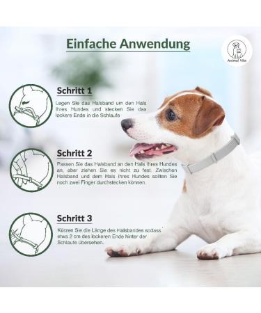 Animal Vita Premium Teck Neck Band for Dogs - Waterproof Size Adjustable 8 Months Tick Protection - Reliable Defense Against Ticks - Buy Online on GoSupps.com