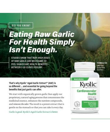 Kyolic Aged Garlic Extract Formula 300 Cardiovascular Health* Vegan 360 Capsules Capsules 360 Count (Pack of 1) - Buy Online on GoSupps.com