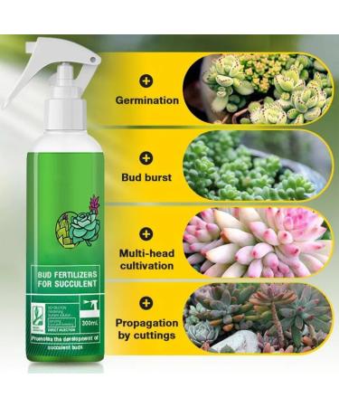 Generic Succulent Plant Bud Fertilizers Organic Succulent Plant Bud Fertilizer for Succulent Planting Accessories - Buy Online on GoSupps.com